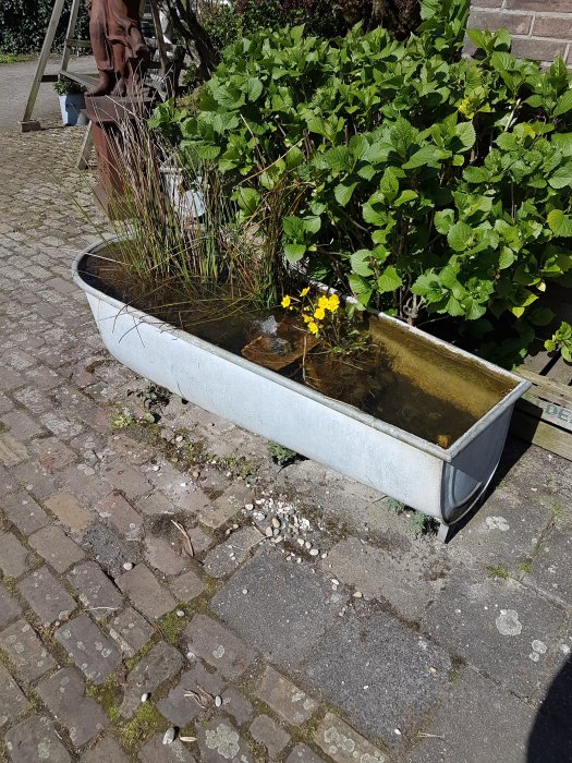 foto z 2 Prijslijst zie Foto